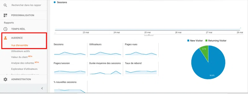 Audience google analytics