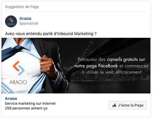 campagnes de publicité sur Facebook - exemple like page Araoo