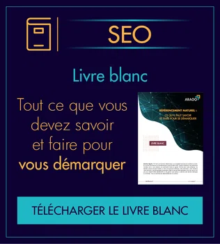 Livre blanc SEO