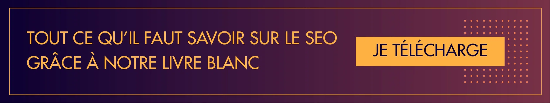 Livvre blanc SEO inread