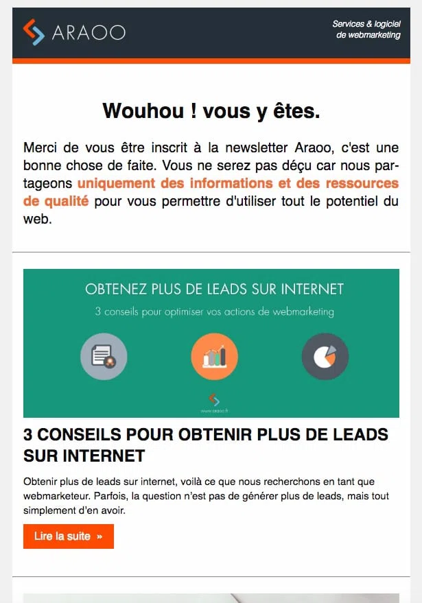 Email de bienvenue - stratégie d&#x27;acquisition de leads avec l&#x27;emailing - Araoo