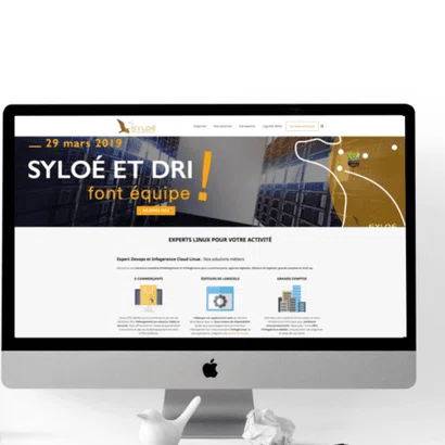 syloe projet image.png