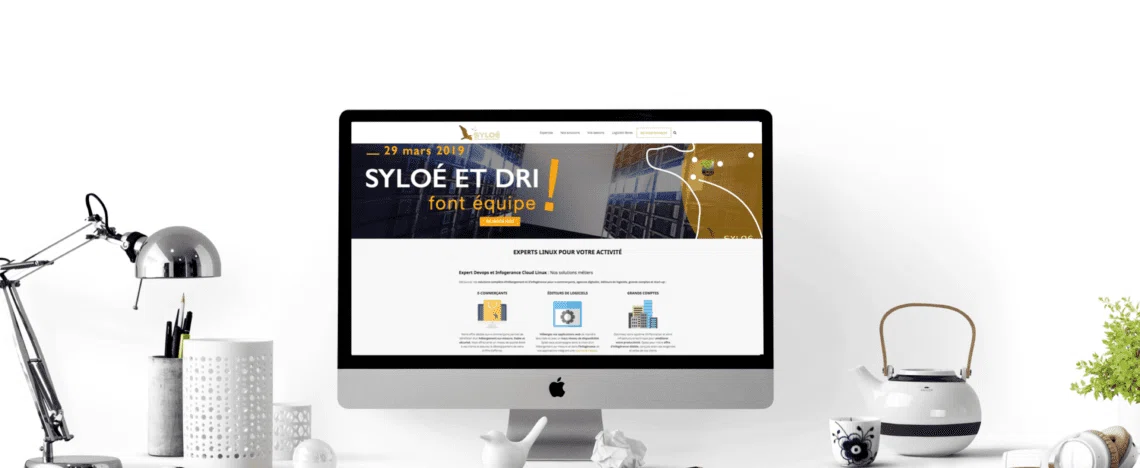 /media/images/syloe_projet_image_ezkPnby.original.format-webp.webp